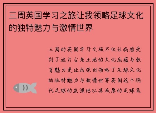 三周英国学习之旅让我领略足球文化的独特魅力与激情世界